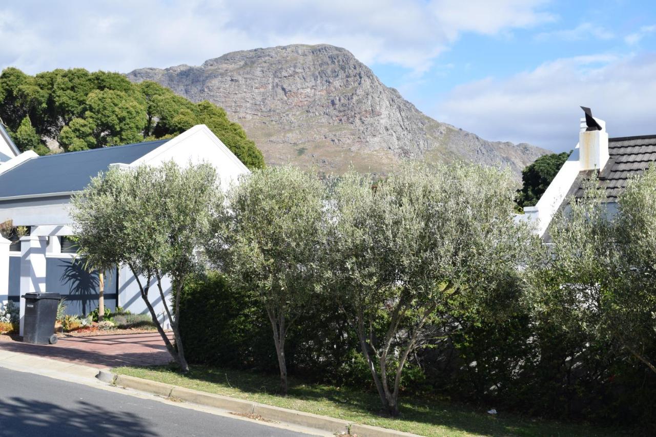 Protea Studio Franschhoek Central Dış mekan fotoğraf